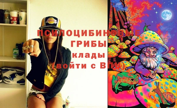 винт Белокуриха