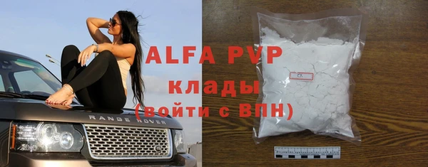 сатива Беломорск