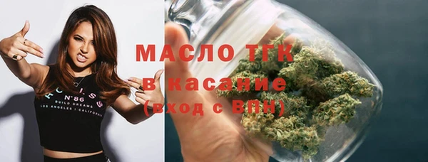 сатива Беломорск