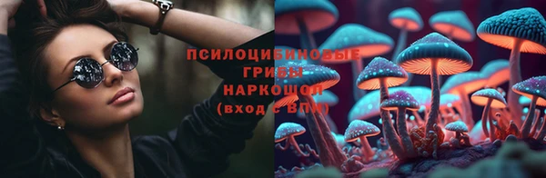 сатива Беломорск