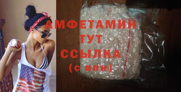 сатива Беломорск